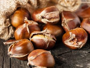 ��԰���������Ƣ �����