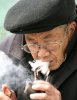 벻Ҫǿ帣