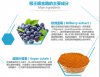 Root King�����۽�: ��